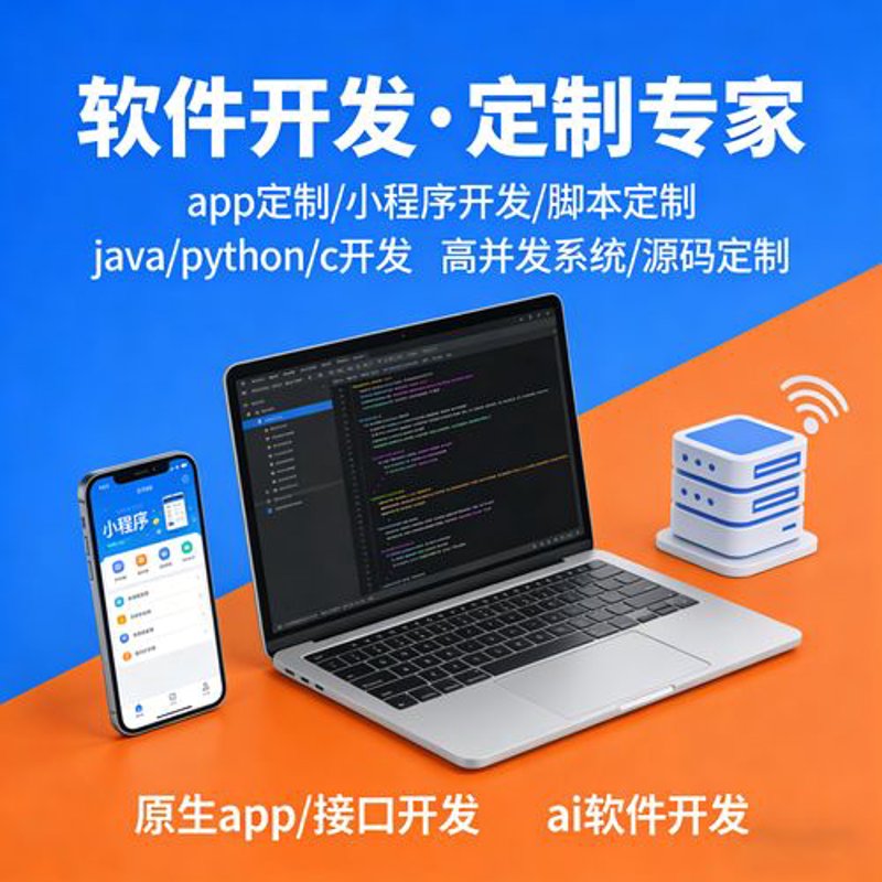 软件外包服务